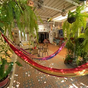 Homestay Casa Linda, Santa Marta (Magdalena)